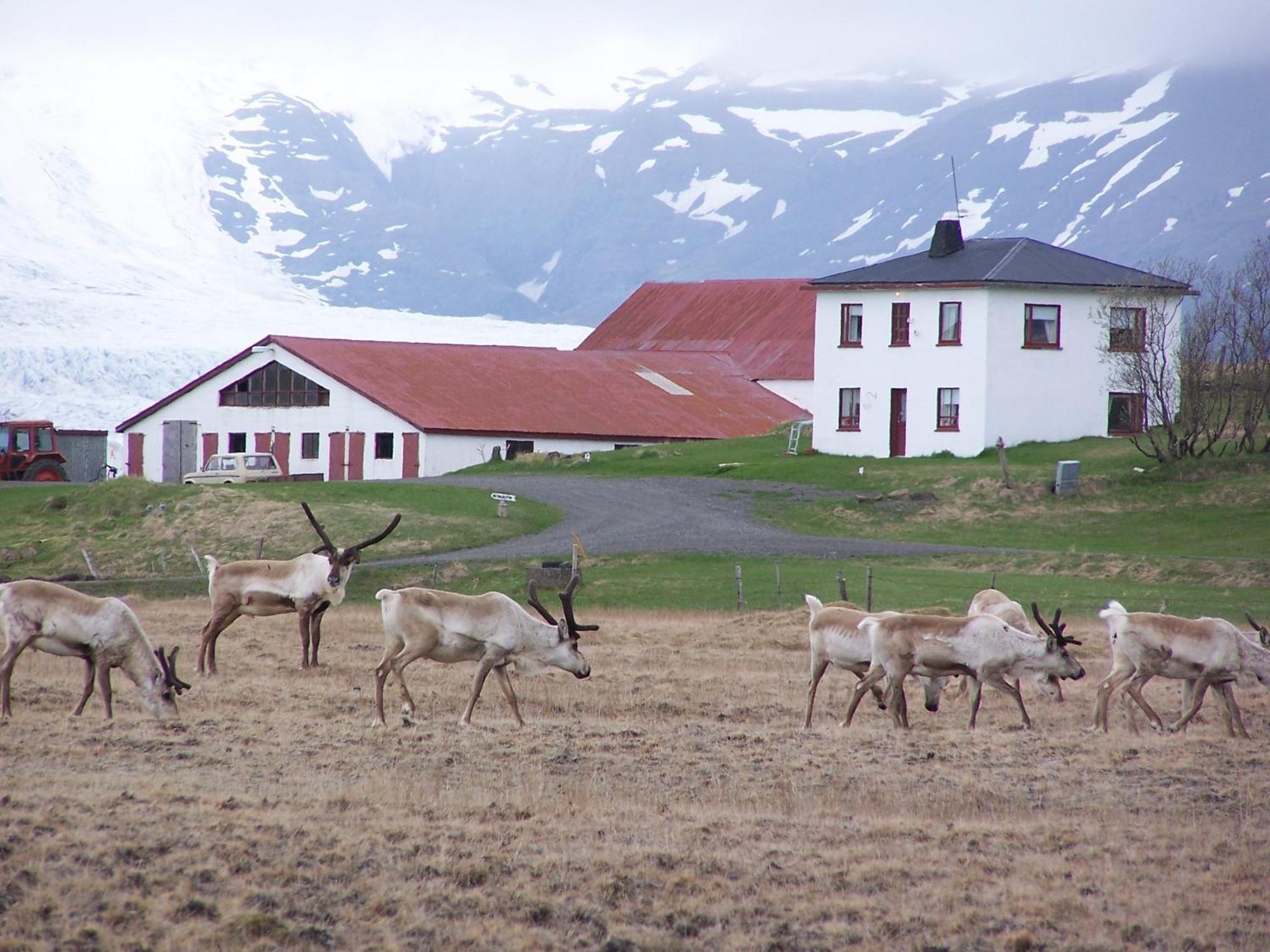 Guesthouse Hólmur Exteriör bild
